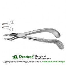 English Pattern Tooth Extracting Forcep Fig. 101 (For Upper Molars and Roots) Stainless Steel, Standard